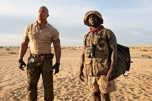Jumanji: The Next Level (DVD)