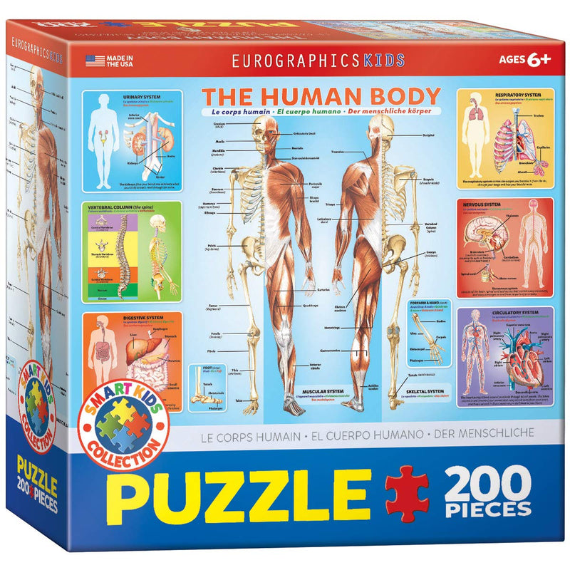 EuroGraphics Human Body Puzzle (200-Piece)