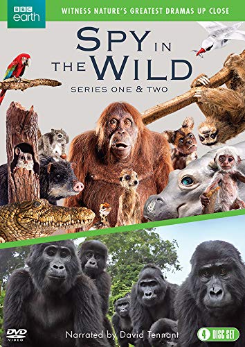 Spy in the Wild: Series 1-2