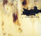 Downward Spiral  explicit_lyrics