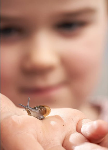 My Living World LW007 Interplay Snail World, Single, Mixed