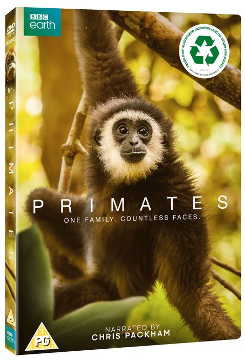 Primates