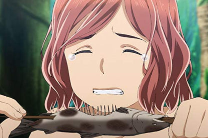 Hinamatsuri - Volume 3: (Episode 9-13)