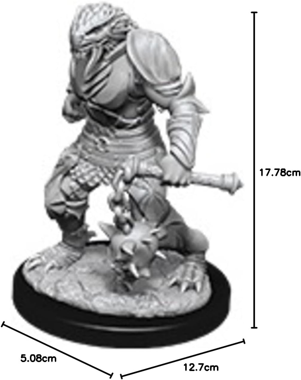 Dungeons & Dragons Nolzur's Marvelous Unpainted Miniatures (W11) Male Dragonborn Paladin