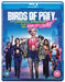 Birds of Prey (and the Fantabulous Emancipation of One Harley Quinn)