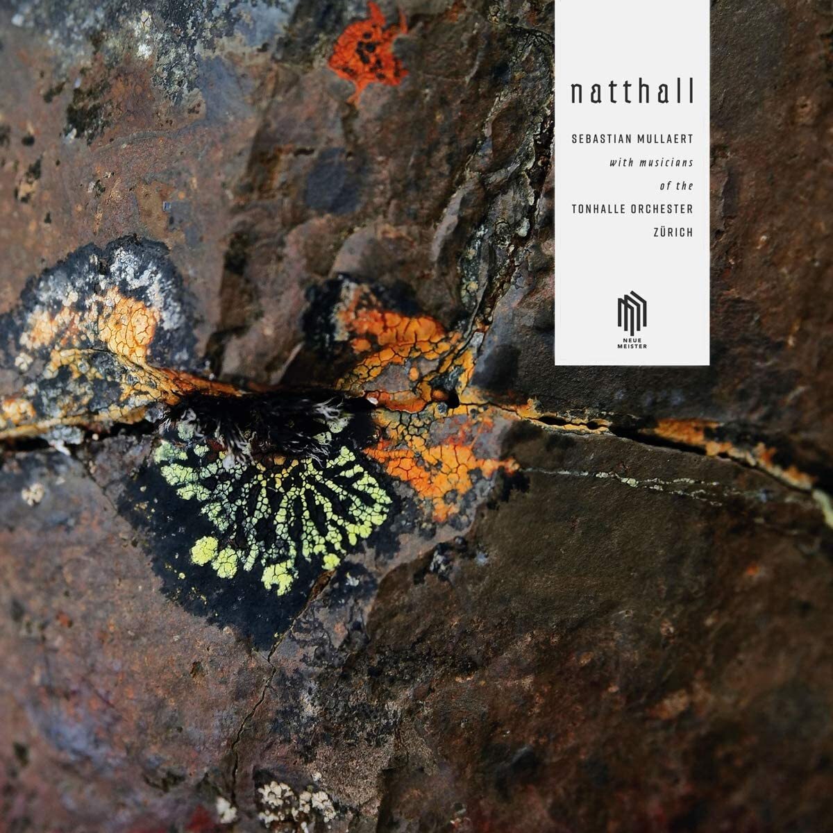 Sebastian Mullaert: Natthall