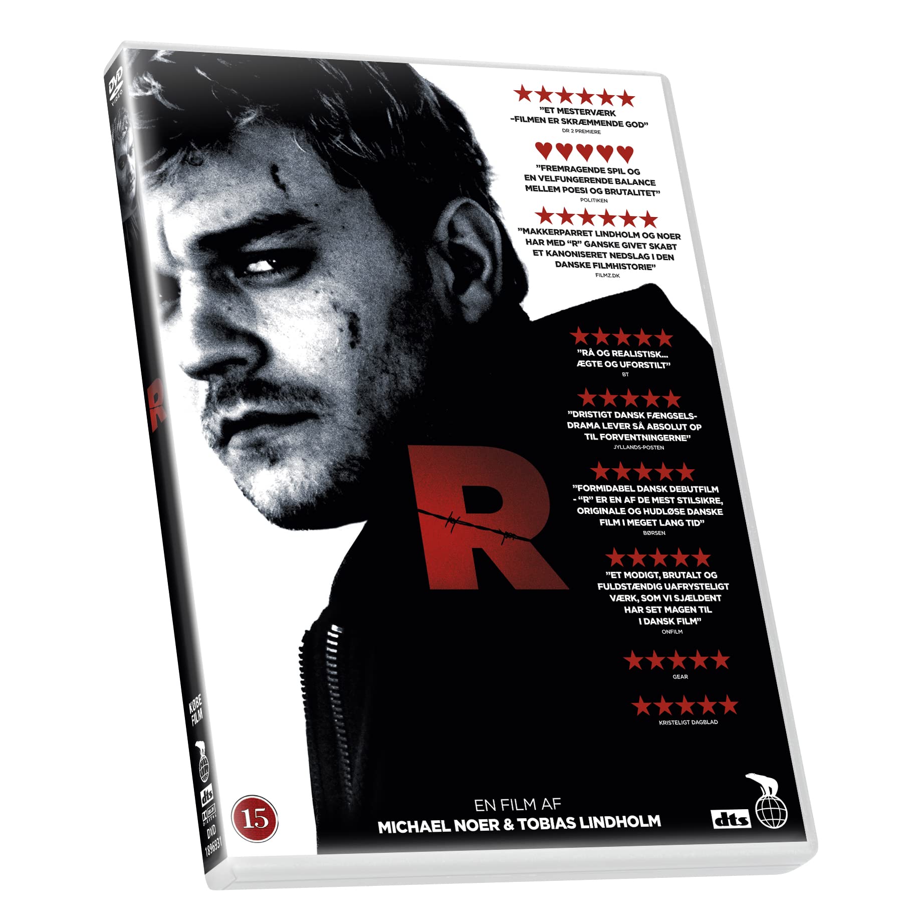 R (2010