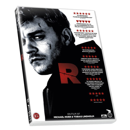 R (2010