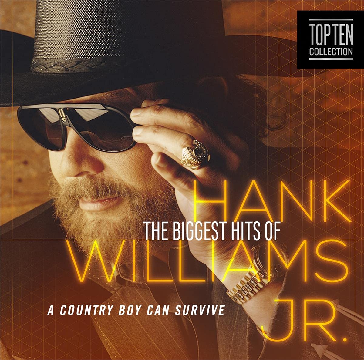 HANK WILLIAMS JR.-A COUNTRY BOY CAN SURVIVE
