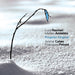 Progetto Original