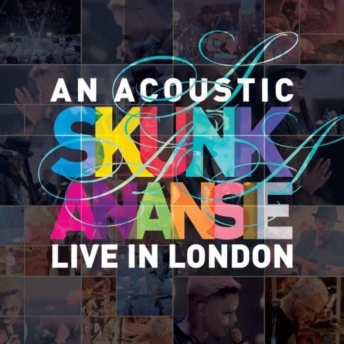 Acoustic Skunk Anansie Live In London