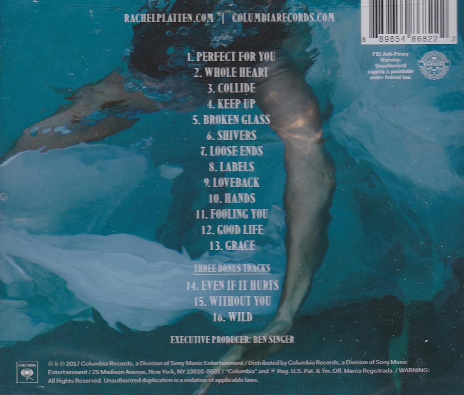 RACHEL PLATTEN Waves EXPANDED TARGET