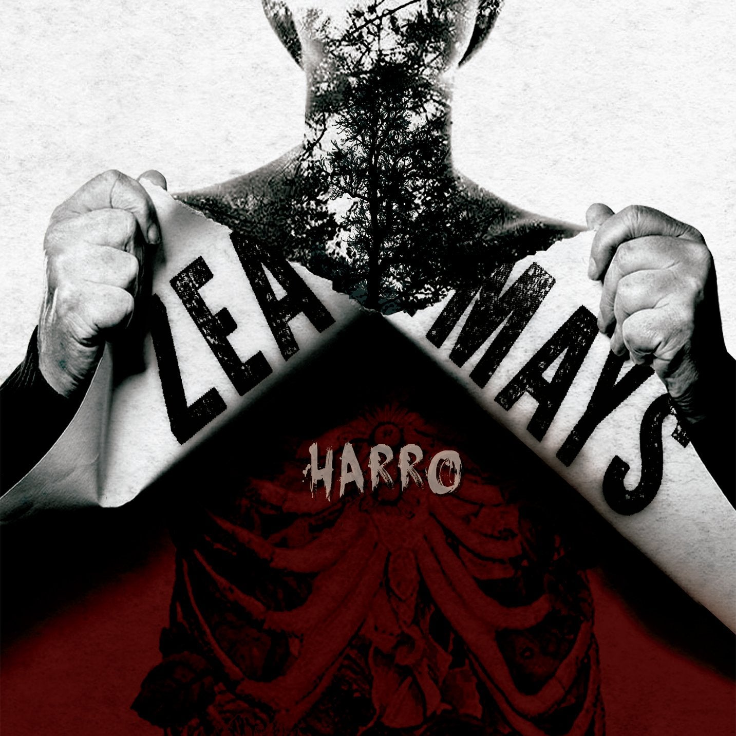 ZEA MAYS - HARRO