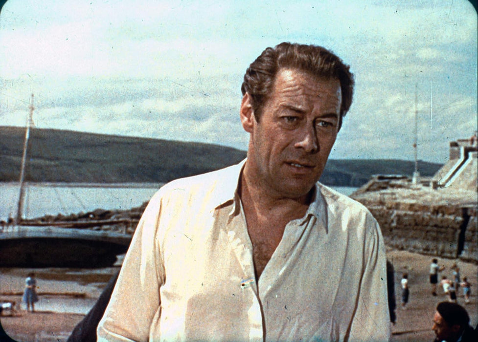 The Constant Husband