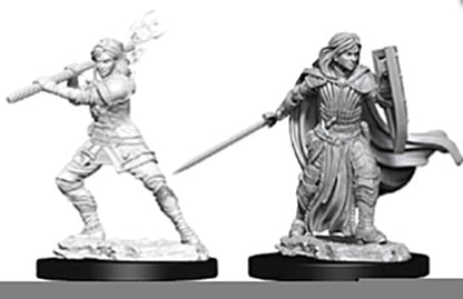D&D Nolzur's Marvelous Miniatures - Male Human Paladin