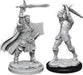 D&D Nolzur's Marvelous Miniatures - Male Human Paladin