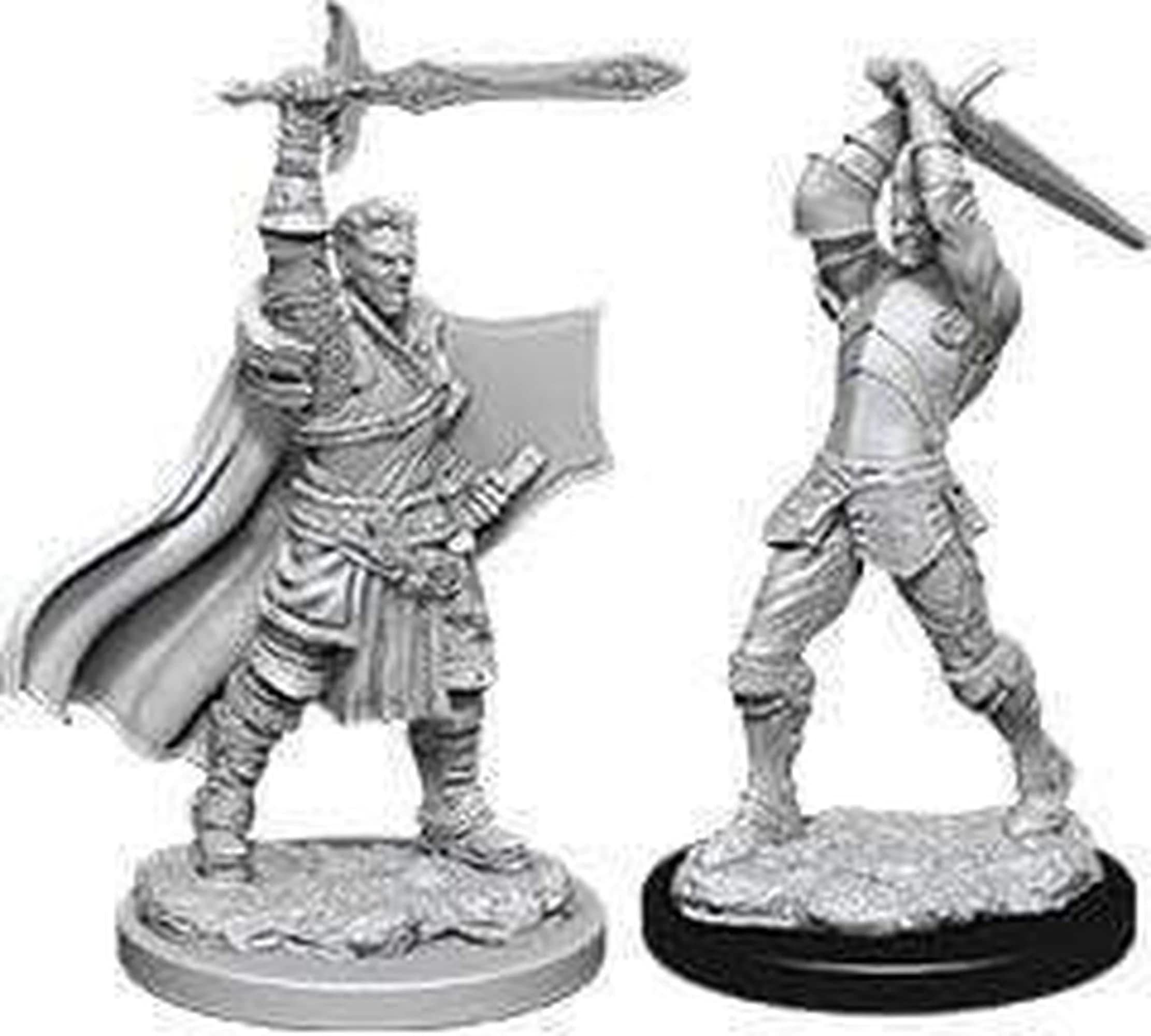 D&D Nolzur's Marvelous Miniatures - Male Human Paladin