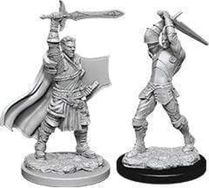 D&D Nolzur's Marvelous Miniatures - Male Human Paladin
