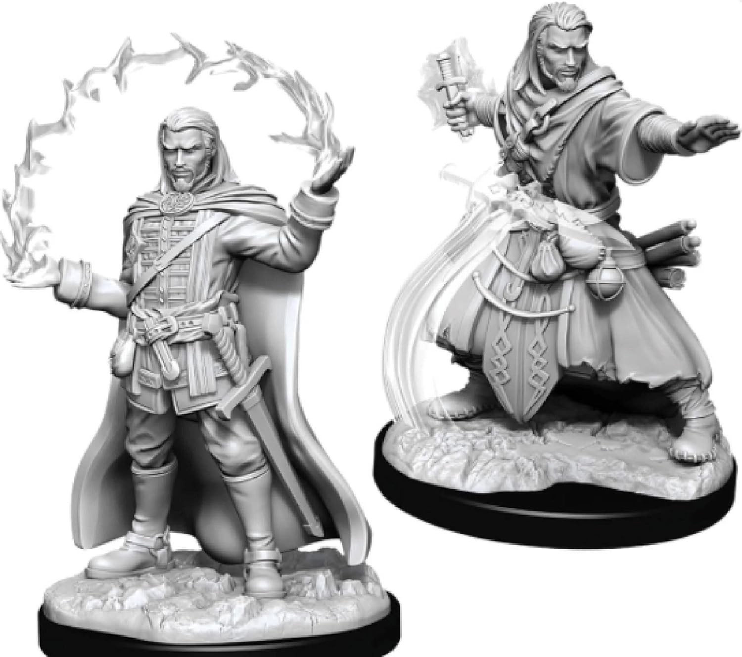 D&D Nolzur's Marvelous Miniatures - Male Human Paladin