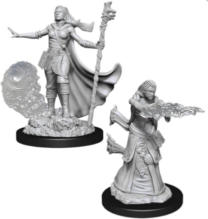 D&D Nolzur's Marvelous Miniatures - Male Human Paladin