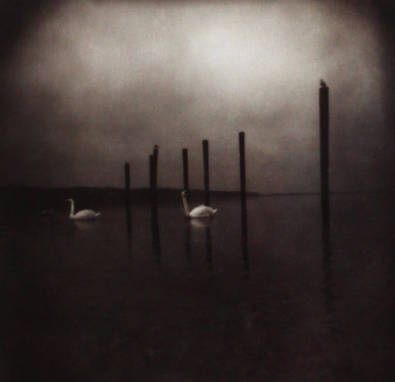 Conference of the Birds