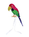 Bristol Novelty BA145 Stuffed Multicolor Parrot Feather Covered Pirate Accessory, Unisex-Adult, One Size