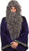 Bristol Novelty Grey BW573B Wizard Wig for Adult Fancy Dress, Men (Bagged