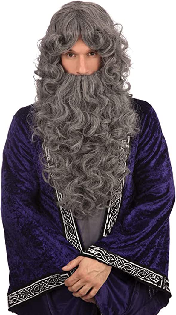 Bristol Novelty Grey BW573B Wizard Wig for Adult Fancy Dress, Men (Bagged