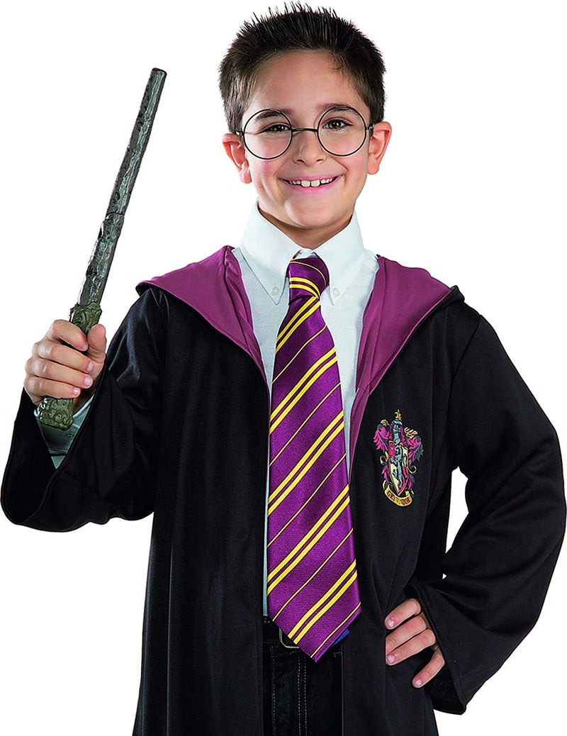 Harry Potter Accessory Kit