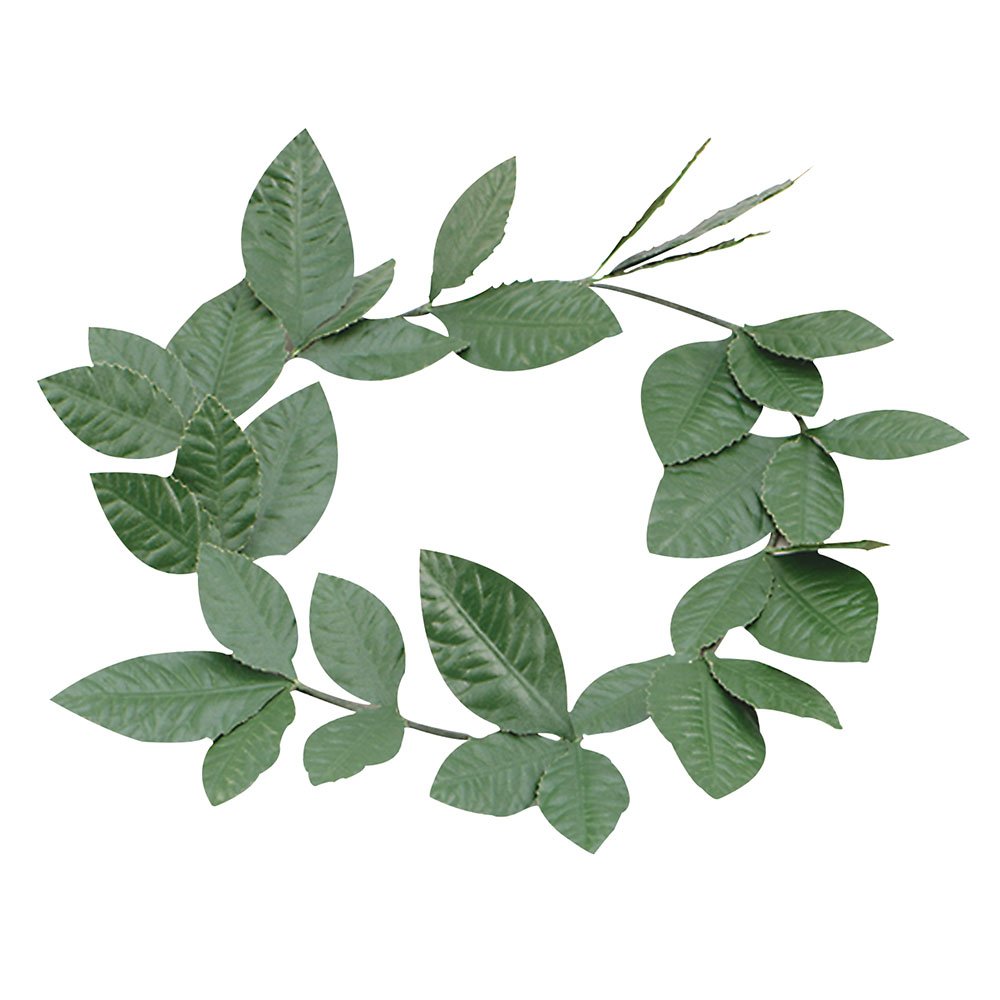 Bristol Novelty BA480 Laurel Leaf Headband | Green | 1pc, One Size