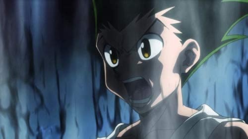 Hunterxhunter-Volume 11 (Episode 113-124)