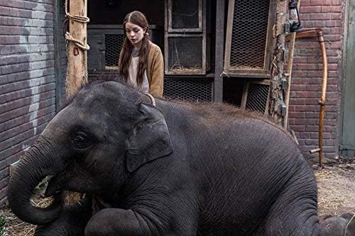Der Zoo