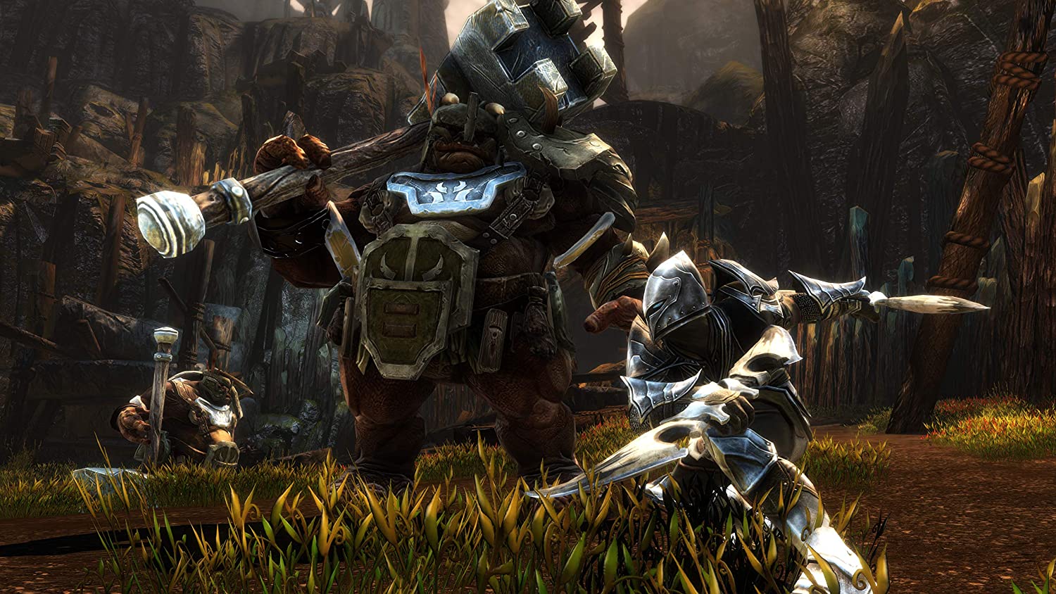 Kingdoms of Amalur Re-Reckoning (PS4)