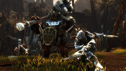 Kingdoms of Amalur Re-Reckoning (PS4)
