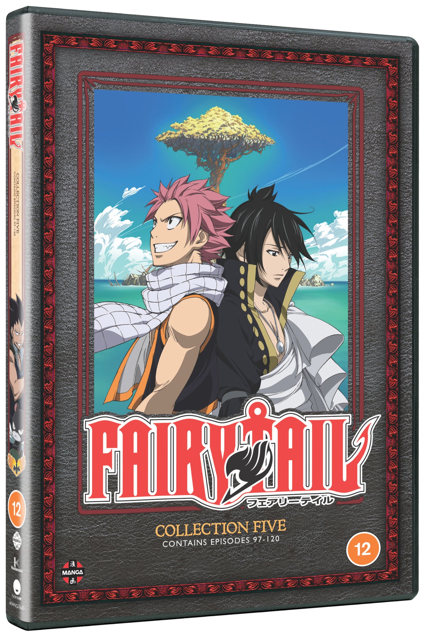 Fairy Tail: Collection 5