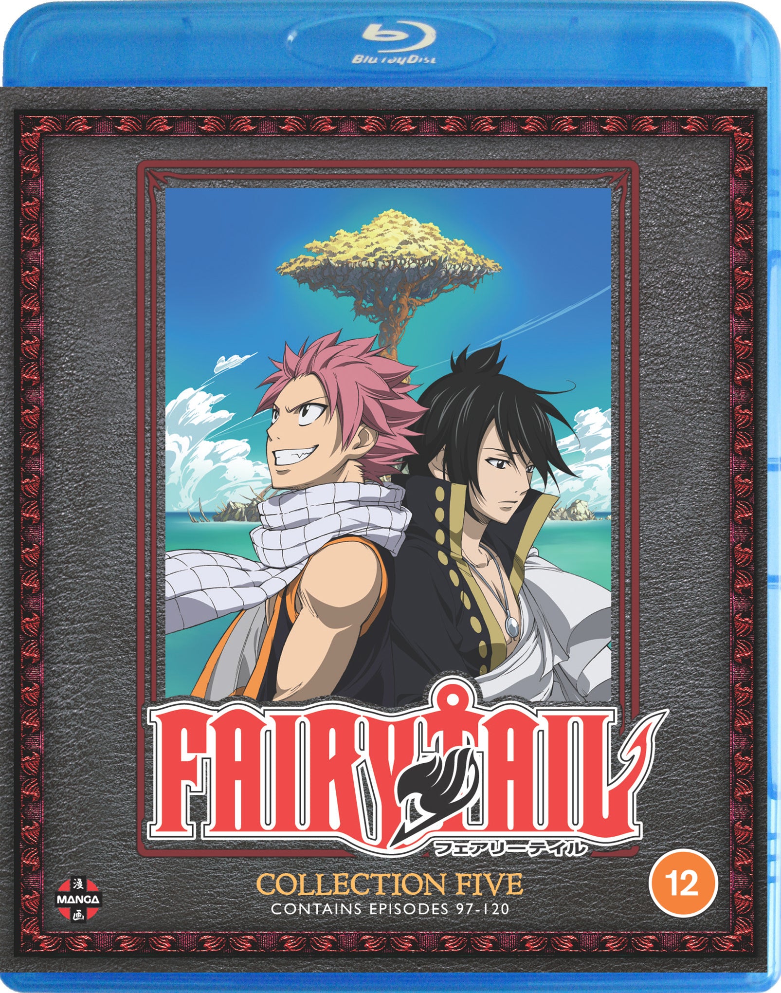 Fairy Tail: Collection 5