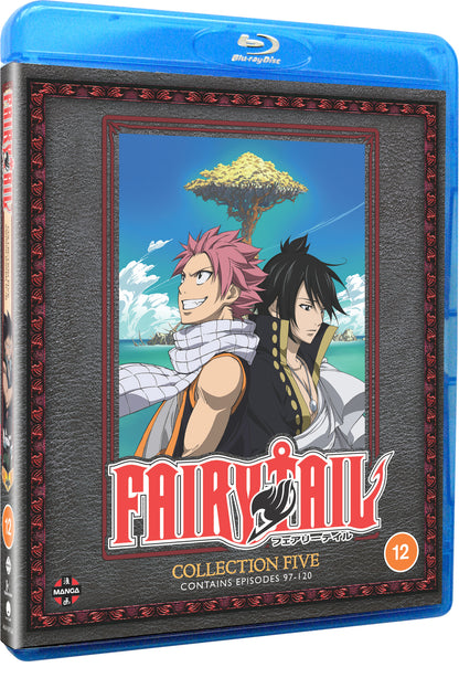 Fairy Tail: Collection 5