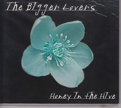 Honey in the Hive