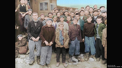 Auschwitz Untold