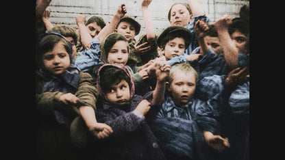 Auschwitz Untold