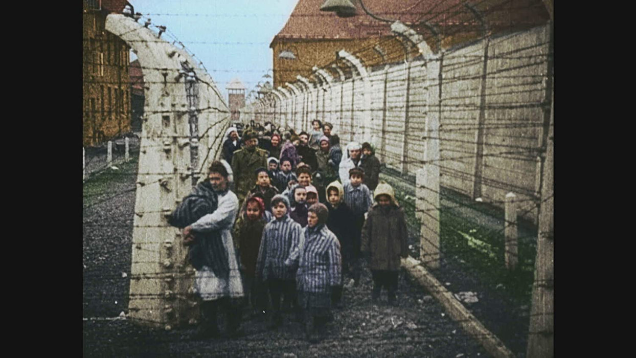 Auschwitz Untold