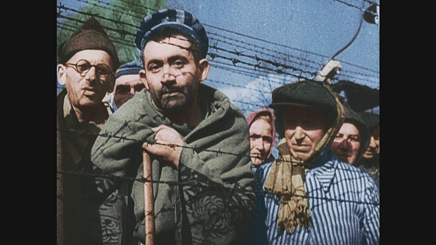 Auschwitz Untold