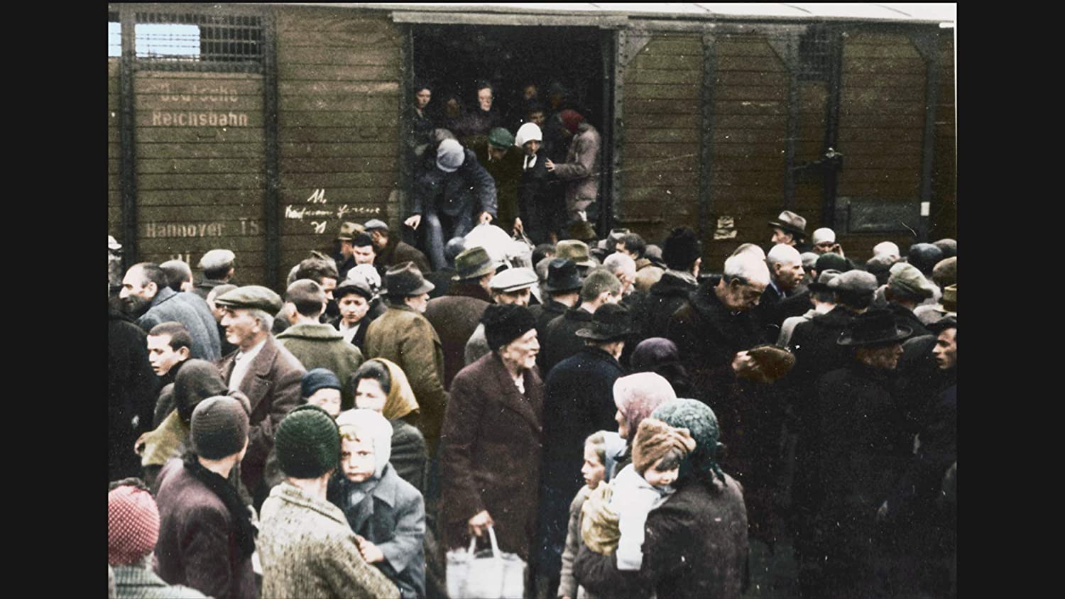 Auschwitz Untold