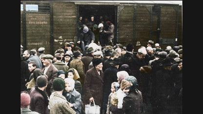 Auschwitz Untold