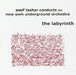 Labyrinth