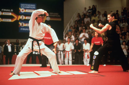 The Karate Kid 5-Movie Collection (The Karate Kid / The Karate Kid (Part 2) / The Karate Kid (Part 3) / The Next Karate Kid / Karate Kid