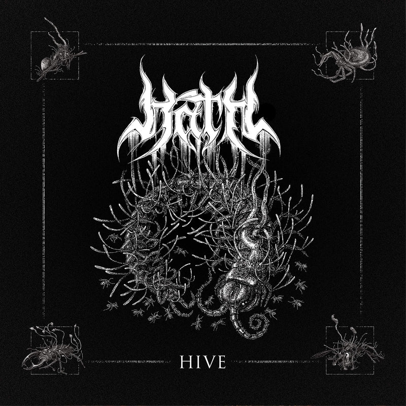 Hive