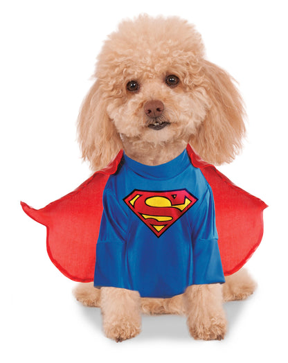 Rubie's Adult DC Comics Pet Costume, Small, Superman Party Supplies, Multicolor, S Neck 12 Girth 17 Back 11 UK