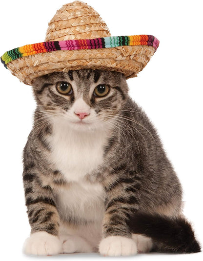 Rubie's Official Sombrero Pet Dog Costume