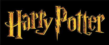 Rubie's - Falda oficial de Harry Potter Gryffindor para disfraz de niño